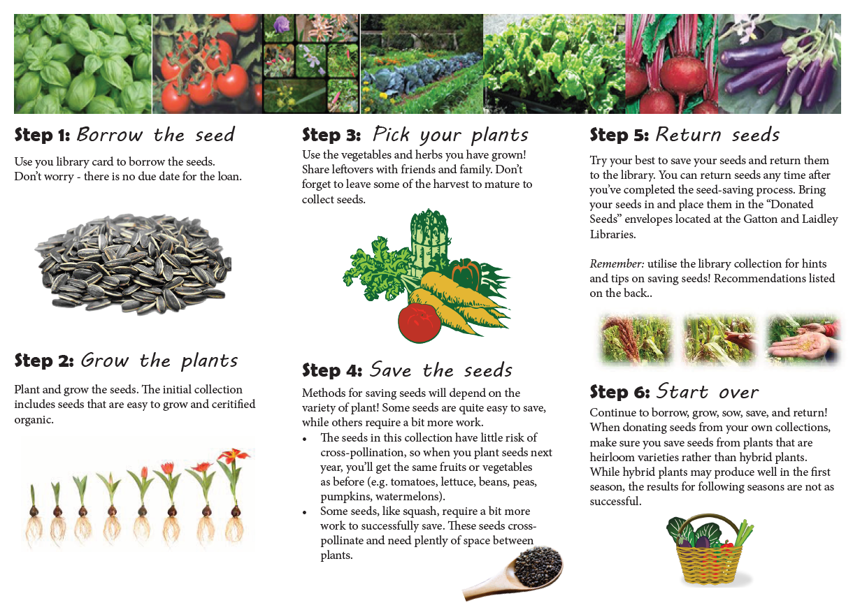 Seed library snapshot pg2